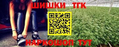 Альфа ПВП Бийск