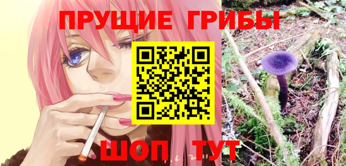 дарнет шоп  Лянтор  Псилоцибиновые грибы Psilocybine cubensis 