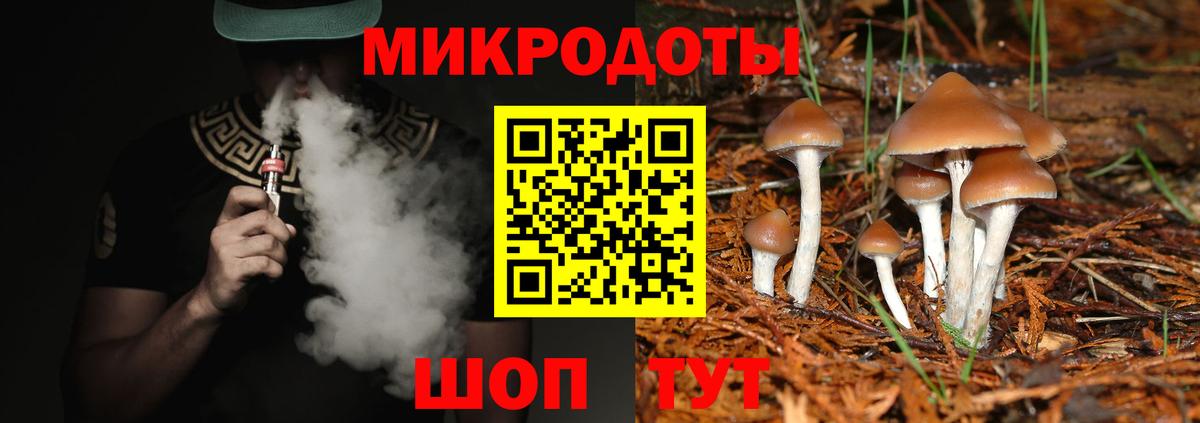 Галлюциногенные грибы Psilocybine cubensis Лянтор